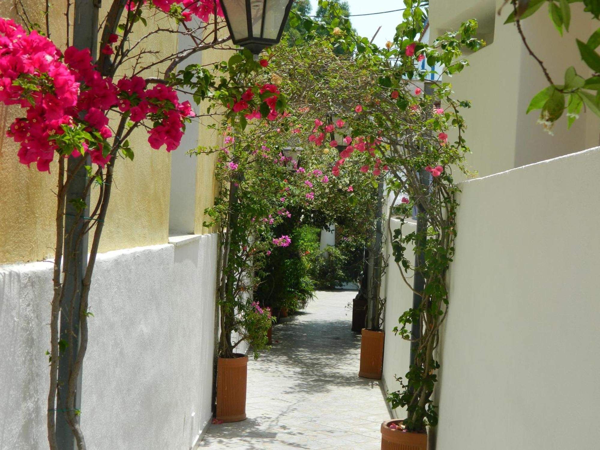 Hermosa Ischia